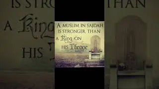 Sajdah | Namaz #shorts #viral #ytshort #quotes #quotesaboutlife #islamicquotesinurdu #urdupoetry