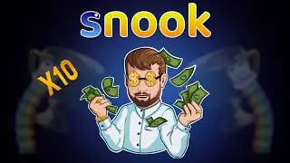 Как заработать на криптовалюте? Новое IDO SNOOK