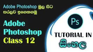 Photoshop Basic class 12 | Tutorial in Sinhala
