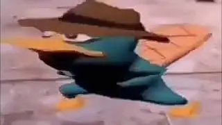 туц туц туц перри утконос флексит мем