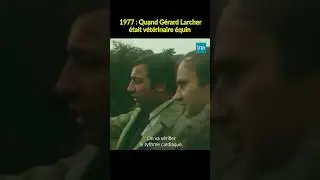 Gérard Larcher : 28 ans et vétérinaire équin 🐎 #INA #shorts