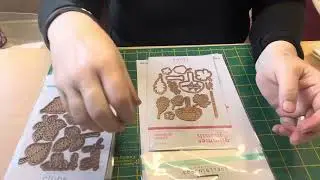 Spellbinders Haul