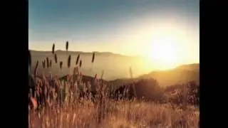 ARIZONA LOCUTOR DORES DA ALMA