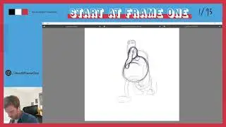 2D Animation Insights
