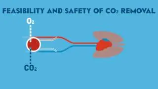 ICM Pulse - The feasibility and safety of extracorporeal carbon dioxide removal
