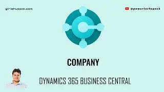 What is Company in Dynamics 365 Business Central Application?