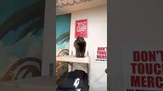 THE FYL STORE IN CONEY ISLAND