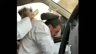 🐫camel🐫 funny video