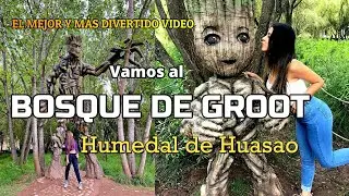 Conoce el Bosque de #GROOT 🗿 humedal de #Huasao2024 🏞 DATOS PRECIOS🚕 #ents #entspannung 🏡 #Cusco2024