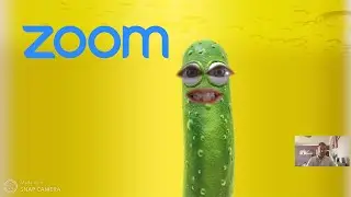 funny zoom call | zoom meeting gone wrong | A parody sketch about funny Zoom call meeting gone wrong