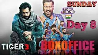 Tiger 3 box office collection Day 8