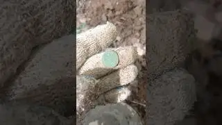В древности ее потеряли в лесу #metaldetecting #коп #coin #garrett #metaldetector #md #мд #монеты