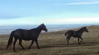 Бермамыт на закате