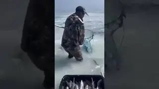 ВОТ КАК НАДО РЫБАЧИТЬ.
