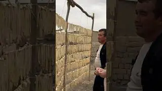 Qovun Qoqi qanday tayyorlanadi ? 