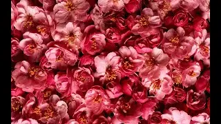В день рождения!