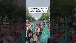 Cortège gigantesque pour la manifestation du 8 septembre à Paris