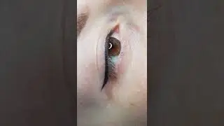 татуаж стрелки зажившие мастер александра андриюк