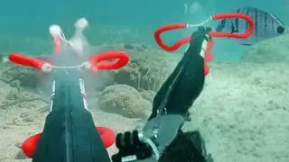 Shooting Speargun In Slow Motion