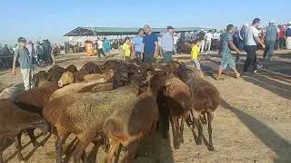 23.08.2024 СОВЛИК КУЙЛАРНИ ЗУРЛАРИ ЧИКДИ КАРШИ КАРВОН МОЛ БОЗОРИГА