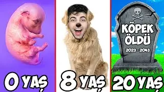 DOĞUMDAN ÖLÜME BİR KÖPEK OLARAK YAŞAMA OYUNU ! ( 0 - 100 YAŞ Köpek Simulator)
