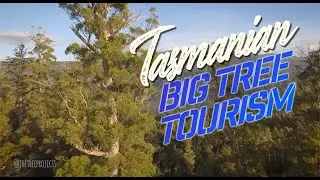 Tasmania, The Holiday Isle