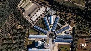 AZIENDA AVICOLA POLLIPOLI