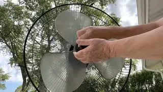 Why did I buy this fan? It's basically in every store for around $25.00