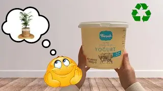 Yoğurt Kabının Mükemmel Değişimi… Home Decor Idea…