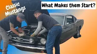 What makes a Classic 1965 Mustang Start | Classic Mustangs Startup process