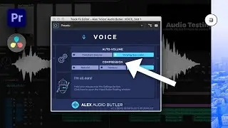 Mix Your Audio Layers In Seconds! (Alex Audio)| Filmmaker's Vlog 01