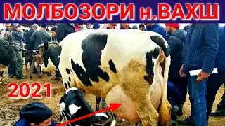 Молбозори Вахш нархи Бука Гуночин Барача Гови Ширте 2021 (Мол бозор)