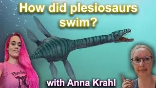 How plesiosaurs flew under water
