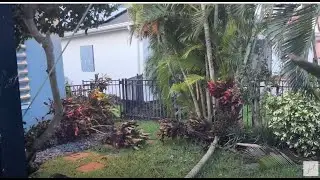 Hurricane Milton Our little corner of the Path October 2024