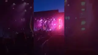 the hatters  сильная женщина. Дикая мята 2023