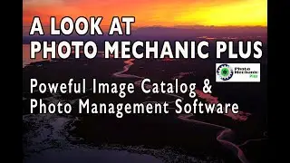 A Look at Photo Mechanic Plus: An Excellent Image Catalog and Photo Management Software Solution