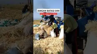 kita gak seberuntung orang lain... #shortsvideo #fypp #trendingshorts