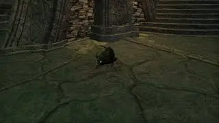 Maligraphic Skeever Pet in ESO U40 Endless Archive Reward