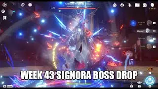 Week 43 Signora Boss Drop | Genshin Impact