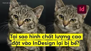 Q&A: Tại sao hình chất lượng cao đặt vào InDesign lại bị bể | kaorumap