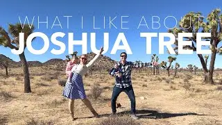 What I like About Joshua Tree | Trip Music Video