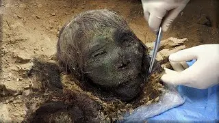 Kleopatra'nın Hiç Güzel Olmadığının Kanıtı. Tarihi Değiştirebilecek Keşif!