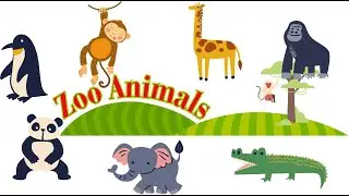 Zoo animals  - Kids vocabulary - Learn English for kids - English educational video