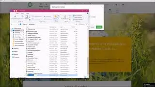 Backup maken in de WebBuilder