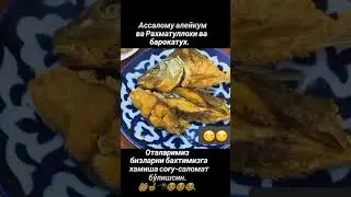 #Tasirli voqeya #Тасирли вокея