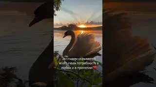 Стыд - не тупик, а лишь часть пути ♥️ #психология #состояние #метод #любовь #терапия