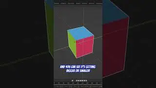 All You NEED to know about SCALE CAGE in Blender 3.4 - Transforming objects in Blender 3D