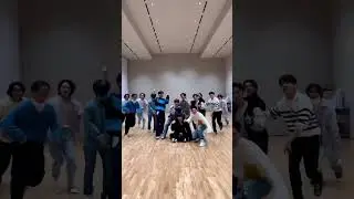 BSS FIGHTING WITH SEVENTEEN #seventeen #fighting #bss #booseoksoon #kpop #ot13