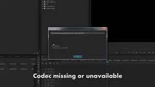 How to Import HEVC H265 to ADOBE PREMIERE PRO CC