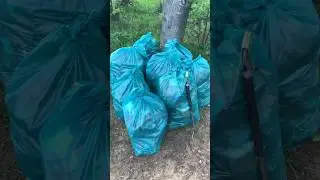 Субботник у реки и леса 